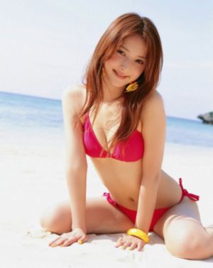 服从在线观看_1080P免费观看电视剧