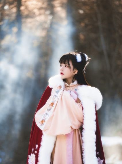 电影苹果完整版_剧情片免费观看视频